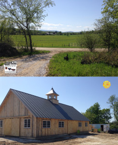 Adam's Berry Farm