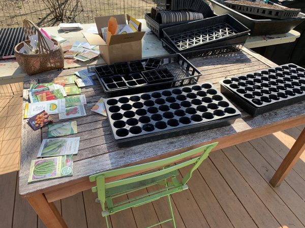 materials-for-how-to-start-a-garden
