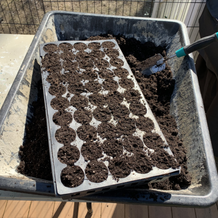 Screen Shot 2020-04-15 at 11.40.31 AM filling-seed-cell-pack-gardening