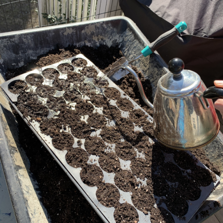 Screen Shot 2020-04-15 at 12.17.09 PM watering-the-soil