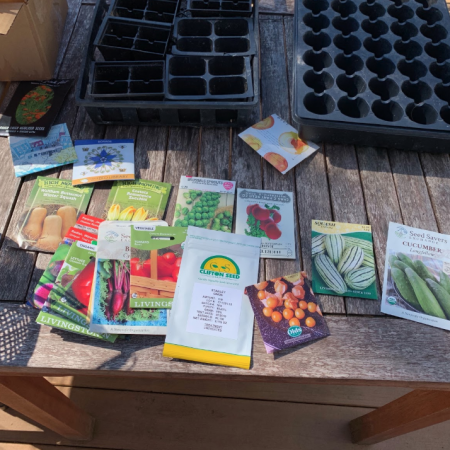 Screen Shot 2020-04-15 at 12.19.46 PM choose-seeds-to-plant