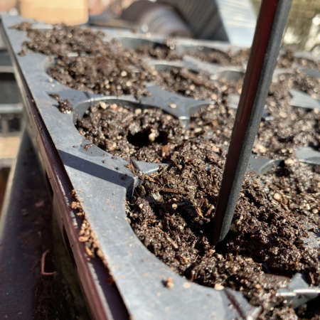 Screen Shot 2020-04-15 at 2.37.51 PM plant-seeds-with-dibber