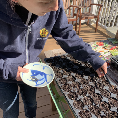 Screen Shot 2020-04-15 at 3.10.56 PM plant-seeds-in-tray