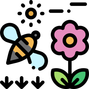 bee-flower-sun-icon
