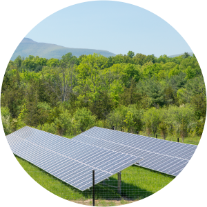 Community Solar Arrays By SunCommon: Sharing Solar Locally