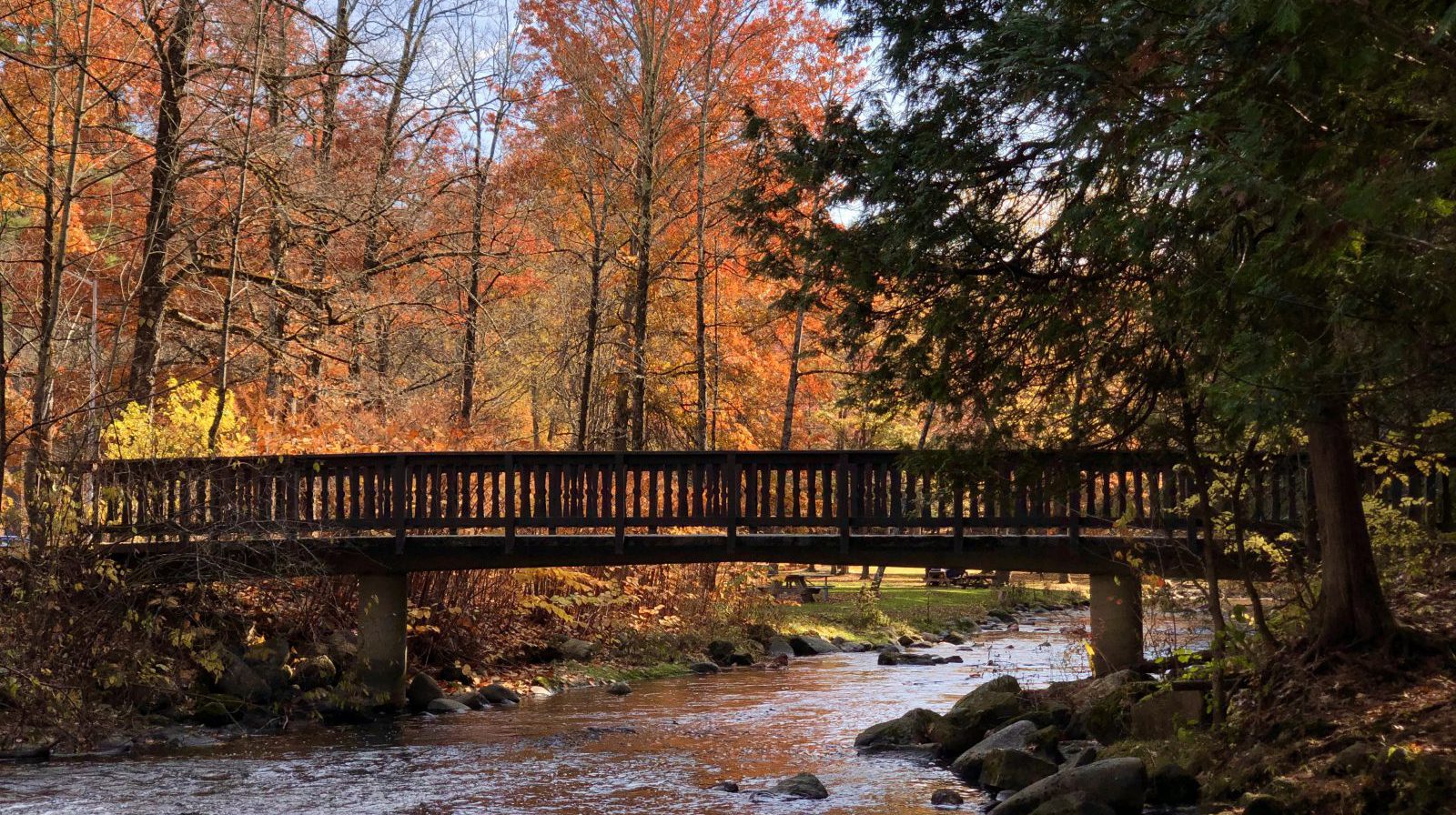 Sustainable Living in Saratoga Springs at State Park