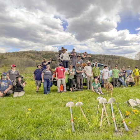 community service day in vermont