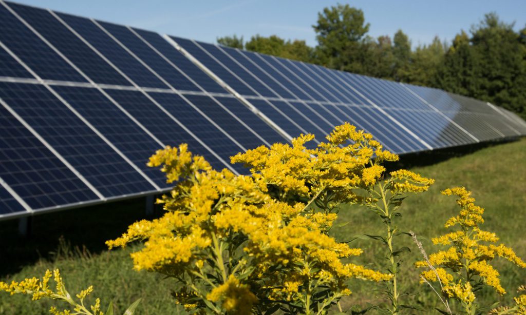 Community Solar Arrays By Suncommon: Sharing Solar Locally