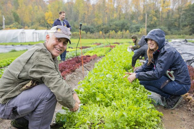 SunCommoners working with VT Foodbank on a gleaning operation