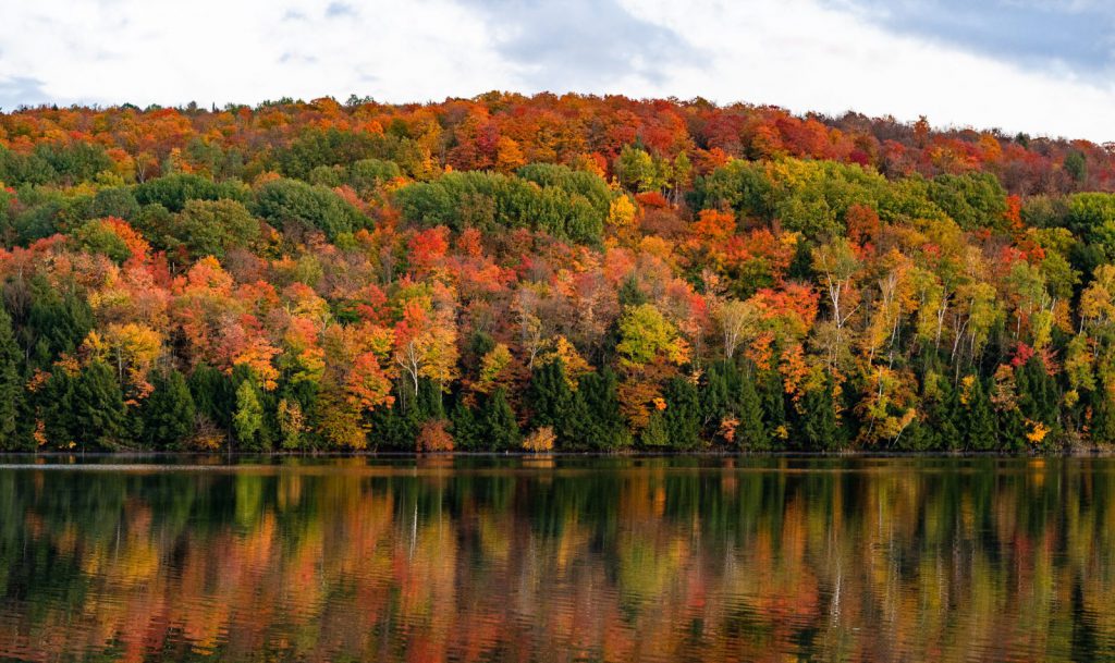 leaf peeping is one of the best fall activities