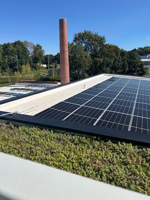 SunCommon commercial rooftop solar array Scenic Hudson green roof