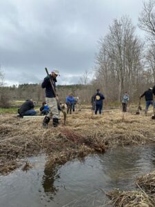 SunCommon solar employees plant trees as part of our social mission.